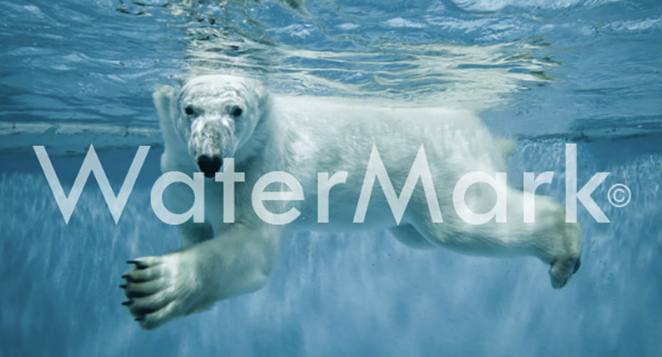 watermark là gì