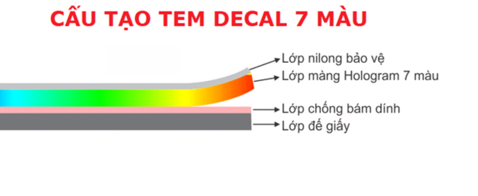 Cấu tạo của in tem 7 màu